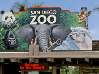 世界聞名的聖地亞哥動物園San Diego Zoo。（網絡圖片）