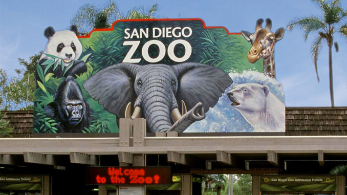 世界闻名的圣地亚哥动物园San Diego Zoo。（网络图片）